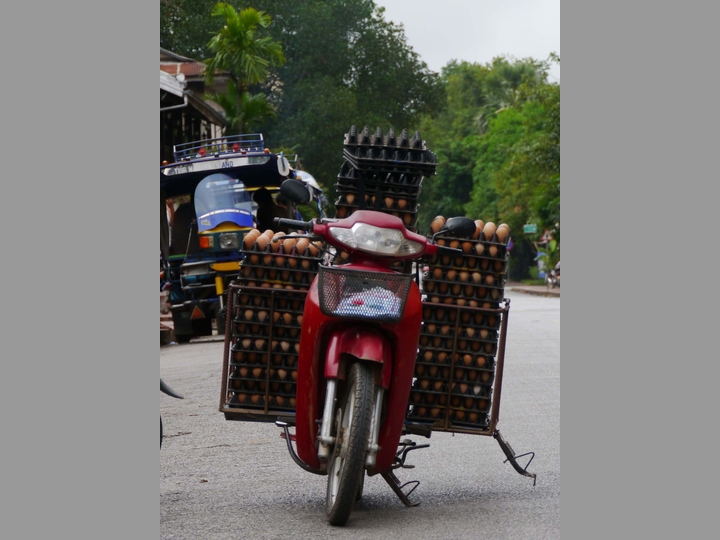 Eiertransport -  Luang Prabang - Laos